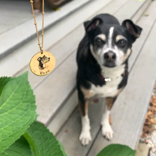 Actual photo pet necklace personalized custom dog necklace or cat necklace