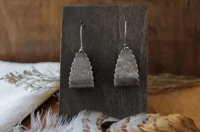 Appaloosa Earrings